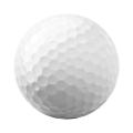 Titleist® Pro V1x™ Golf Ball Std Serv